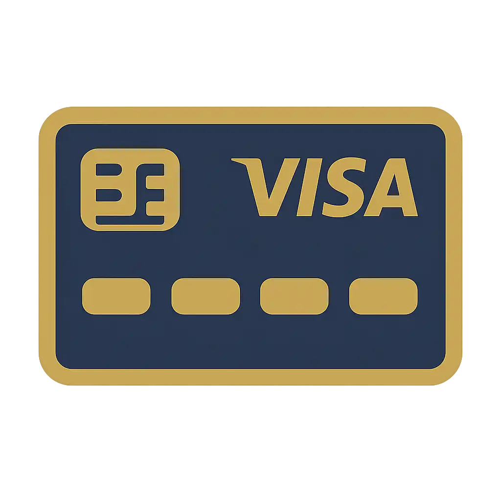 Visa card icon